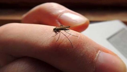Malaria cases rise in Sudurpaschim, posing challenge to eradication target