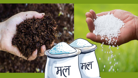 प्राङ्गारिक मलको प्रयोग बढाउन कृषिमन्त्री किसानको दैलोमा
