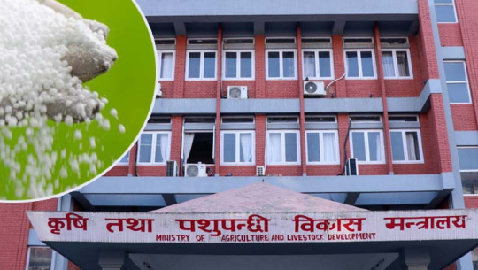 रासायनिक मल सहज रूपमा उपलब्ध गराउन कृषि मन्त्रालय क्रियाशील
