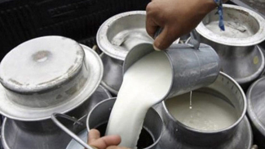 दूध बिक्रीबाट मासिक एक लाख २५ हजार