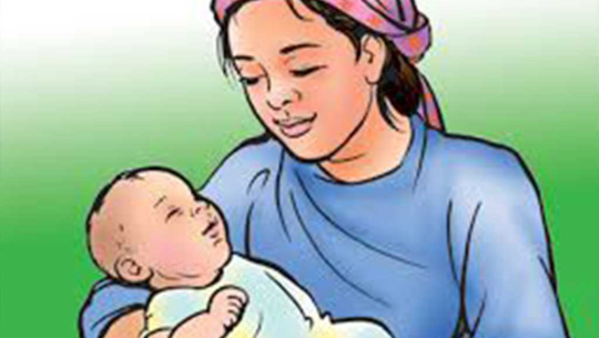 मातृशिशु मृत्युदर कम गर्न पारिवारिक स्वास्थ्य विवरण लिइँदै