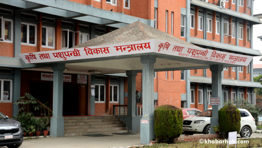 बर्डफ्लु प्रभावित किसानलाई क्षतिपूर्तिका लागि ५० करोड निकासा