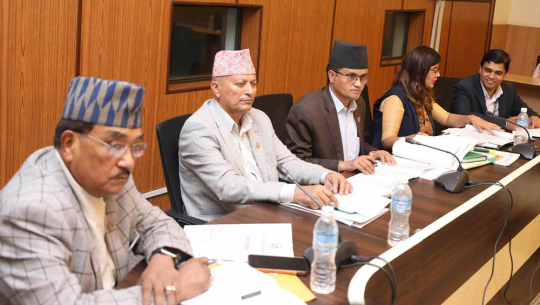 सहकारी ठगिको संसदीय छानबिन समितिमा गृह सचिव र महानिरीक्षकसँग छलफल