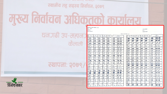 चुनाव चिह्न पाएपछि झनै ताते कैलालीका उम्मेदवार 