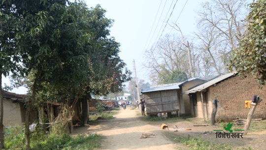 कैलालीमा कौडीको भाउमा भाडामा जग्गा, १ कट्ठाको मासिक २८०