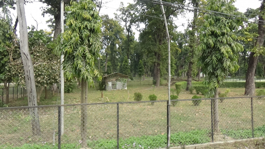 Divaiyanga Banaspati Garden out of bounds for the local women