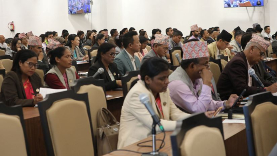 प्रतिनिधिसभाः विकास निर्माणका लागि समानुपातिक बजेटको माग