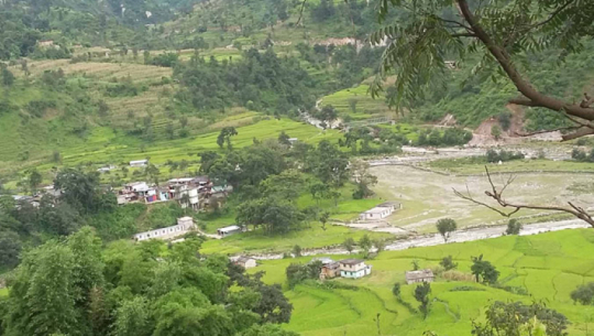 Purchaudi Municipality sealed to curb the spread of Coronavirus