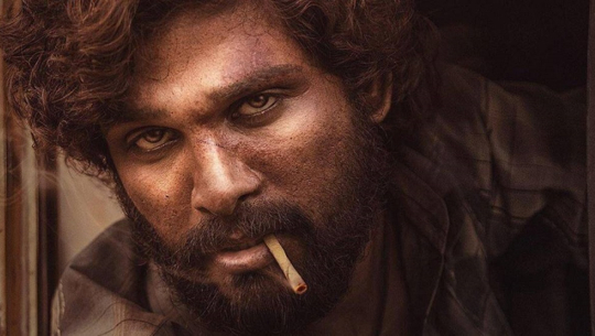 अल्लु अर्जुनको पुष्पा २ बन्दै