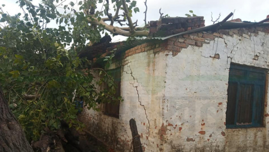 An eroding tree falls on a house, damaging it