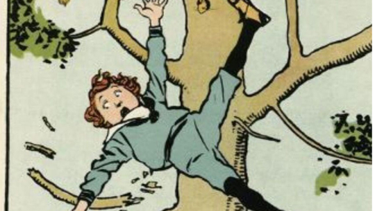 डोटीमा रुखबाट लडेर एक बालीका घाईते