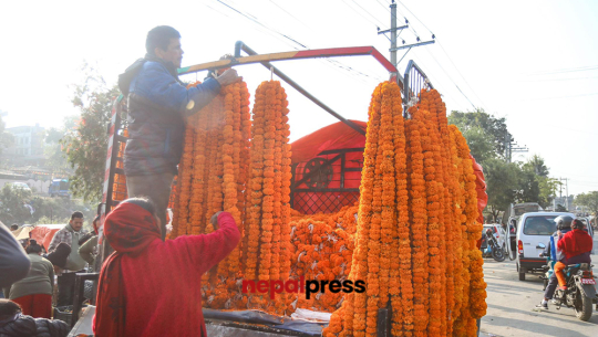 चितवनमा फूल आयात रोक्न माग