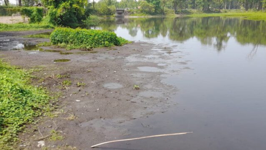 सिमसार क्षेत्रको अतिक्रमणले कछुवा जोखिम