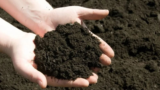 सन्दर्भः विश्व माटो दिवस : बिग्रियो माटो, घट्यो उत्पादन, चिन्तित किसान