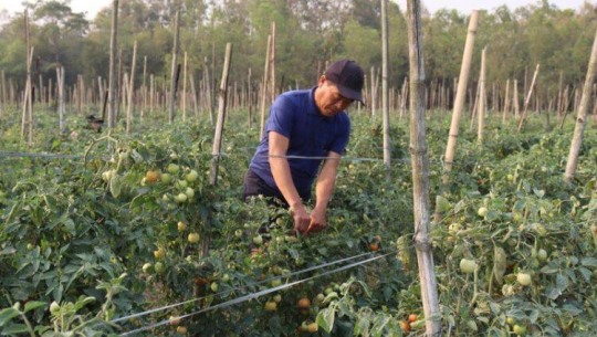 सागसब्जी बेचेर मासिक एक लाख आर्जन