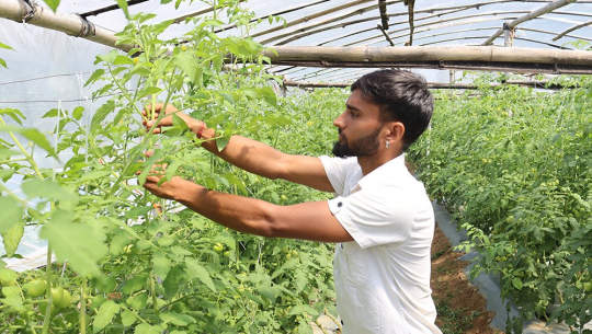 सागसब्जीखेतीबाटै दैनिक १० हजार कमाई