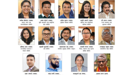 Meetings scheduled today to select chairpersons of 12 parliamentary committees