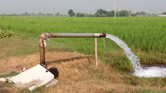 डिप ट्युबेल जडानले २४० बिघा जग्गामा सिँचाइ सुविधा