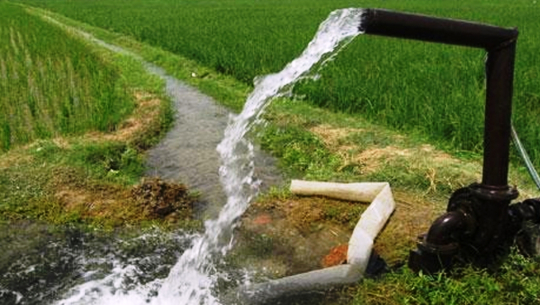 शुक्लाफाँटामा सिँचाइ सुविधा विस्तारले व्यावसायिक खेतीमा संलग्न किसान लाभान्वित