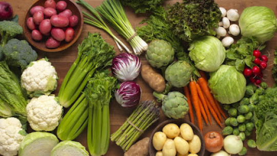 फाइल फोटो