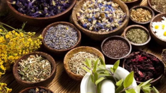 Ayurveda medicine production center in Ratnanagar producing eleven types of medicines