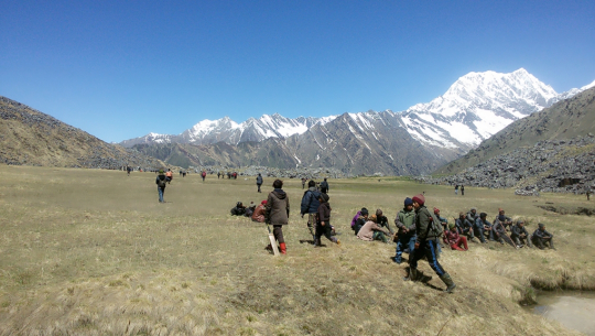 बझाङमा यार्सा संकलन गर्न लेकतिर जाने क्रम बढ्दो