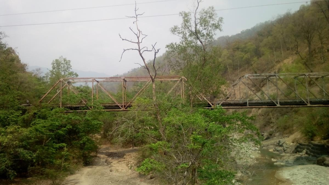 तस्विर: नवराज पनेरु